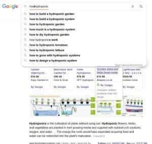 google auto complete shows keywords