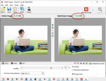 you can use images compressors successfully 