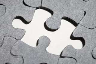 a wordpress plugin is like another piece of the puzzle